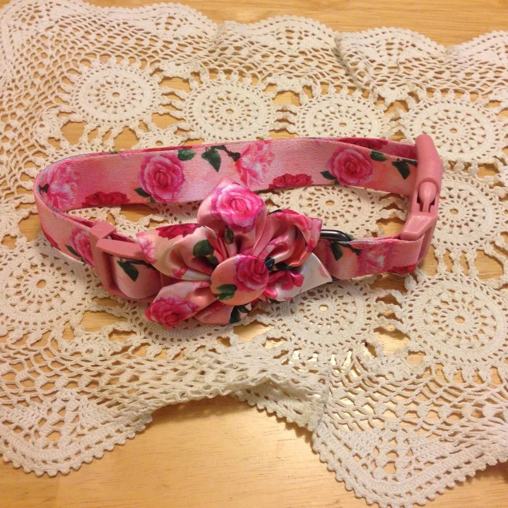 Large Dog Collar, new out of packaging